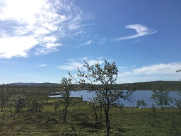 Vanhajrvi