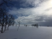 Myrskyn jlkeen