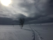 Myrskyn jlkeen