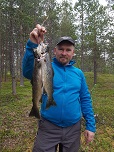 Kauniita ovat