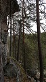 Kirnuhuokoa