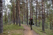 Harju